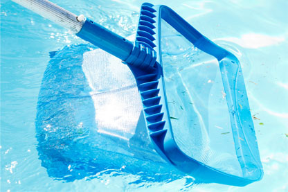 Plastic blue skimmer net being dipped into a swimming pool